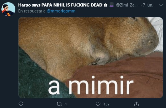 capibara a mimir